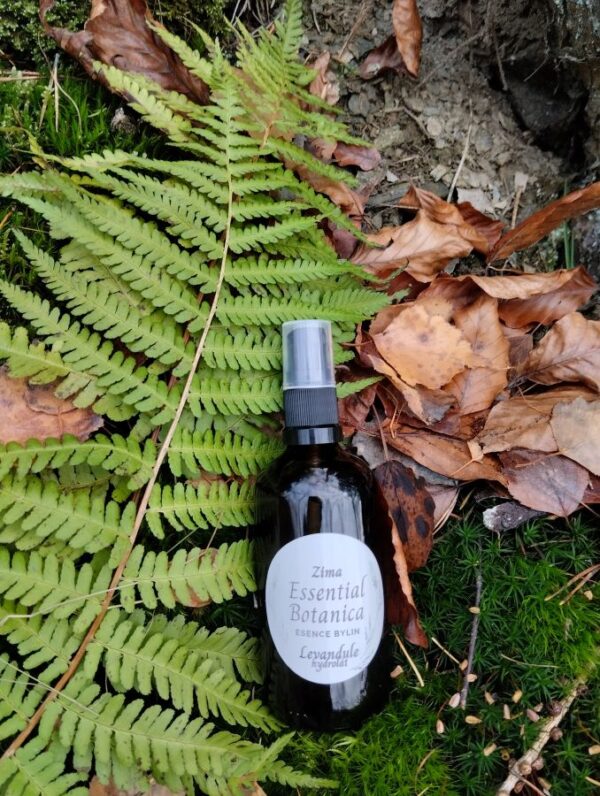 Levandulová voda 50/100 ml